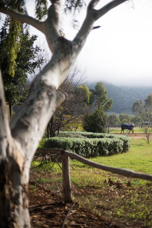 Guest house Hope Farm