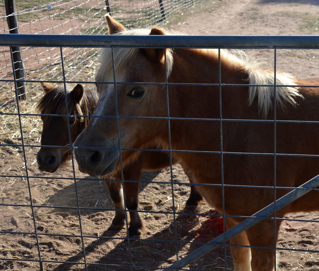 Hope Farm